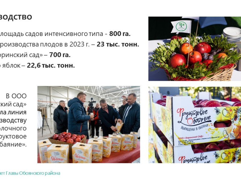 Отчет Главы Обоянского района за 2023 г..